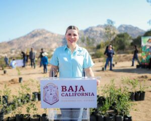  PARTICIPA BAJA CALIFORNIA EN LA JORNADA NACIONAL DE REFORESTACIÓN 2026 PARA PROTEGER Y RECUPERAR LOS ECOSISTEMAS   