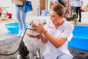  GOBIERNO DE BAJA CALIFORNIA PROMUEVE ADOPCIÓN RESPONSABLE PARA DAR HOGAR A ANIMALES RESCATADOS